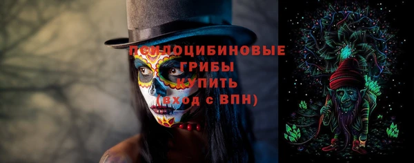 spice Алексин
