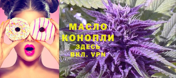 гашик Алексеевка